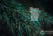 雨水——好雨知時(shí)節(jié), 當(dāng)春乃生發(fā)