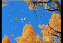 2017秋分節(jié)氣養(yǎng)生 節(jié)氣養(yǎng)生之秋分注意什么