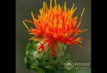 夏季養(yǎng)心護心就吃這幾種食物