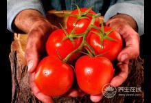 男人夏季想要補陽氣？5種食物一定得吃