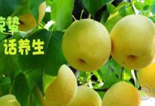 驚蟄 | 春雷響，萬物長！養生飲食要注意！