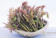 春季養(yǎng)生哪家強(qiáng)，蔬菜水果來幫忙