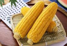 當(dāng)秋養(yǎng)生吃玉米