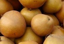 秋冬季吃這些水果最養(yǎng)人