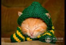 初秋養生要注意給4個部位保暖