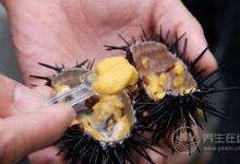 給你1份詳細(xì)的“海鮮年歷”，讓你吃到最時(shí)令的海鮮