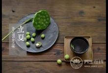 今天立夏：立夏飯、立夏茶、稱人，這些習俗你都懂嗎