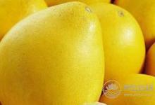 夏天怎樣吃姜對身體好?