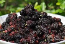 男人春季腎虛，沒關系，三種水果恢復戰斗力