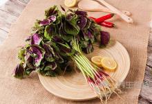 夏日減肥，時令蔬菜來助攻