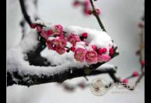 大雪節氣養生該注意什么？