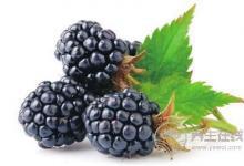 青春期少女，吃什么乳房發育好