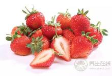 垂涎三尺的夏季草莓食譜  草莓的10種花式吃法