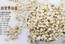 夏季會吃薏仁更養生，推薦幾種健康吃法