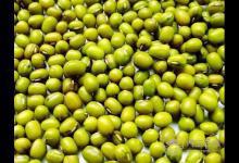 夏季養(yǎng)生，你不能錯過這6種“養(yǎng)生豆”！