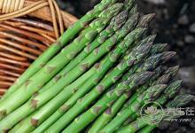 夏天便秘怎么辦？7種食物助你排便通暢、養出好氣色