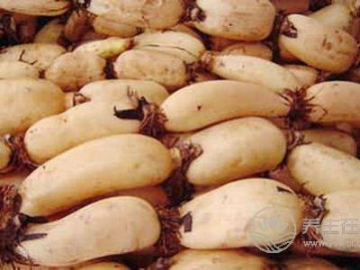 秋天養生要多吃蓮藕