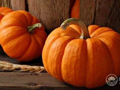 氣虛，秋天該如何吃？