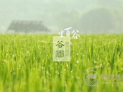 什么是谷雨節氣?