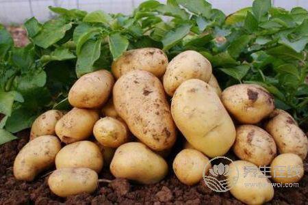 大暑天有哪些飲食禁忌呢?-易網健康養生網 大暑天有哪些飲食禁忌呢?