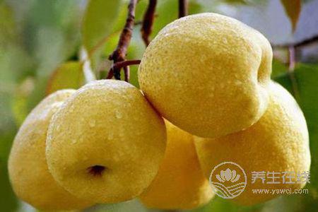 大暑吃哪些水果下火?大暑吃哪些水果好?-易網健康養生網 大暑吃哪些水果下火?大暑吃哪些水果好?