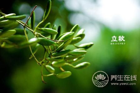 2019年立秋幾點幾分?立秋有哪些節氣習俗?