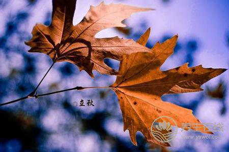 2019年立秋幾點幾分?立秋有哪些節氣習俗?