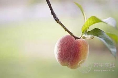 立秋吃什么養生?立秋養生食物有哪些?