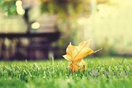 立秋吃什么養生?立秋養生食物有哪些?