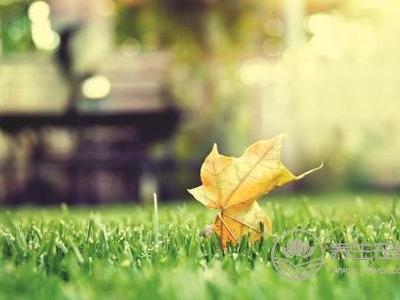 立秋吃什么養生?立秋養生食物有哪些?