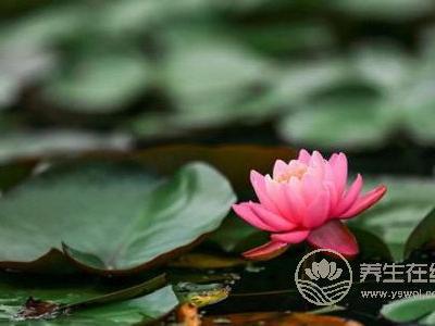 處暑節(jié)氣的含義是什么?處暑是哪個(gè)季節(jié)?