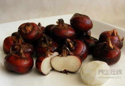 秋分吃什么傳統食物?秋分養生的注意事項有哪些?