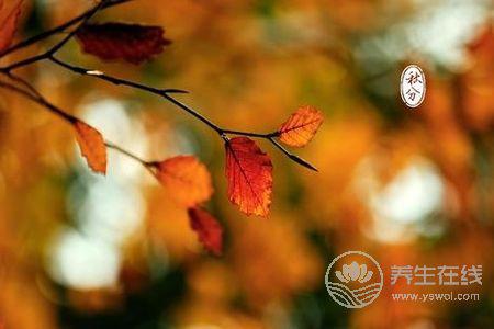 秋分是哪一天?秋分期間的天氣氣候特點是什么?