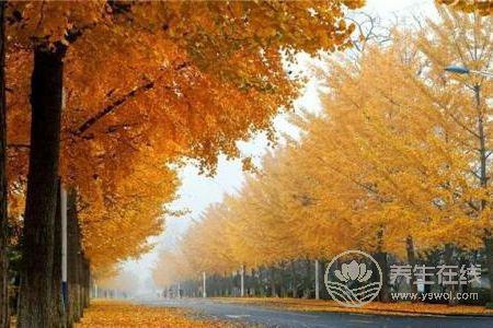 秋分是哪一天?秋分期間的天氣氣候特點是什么?