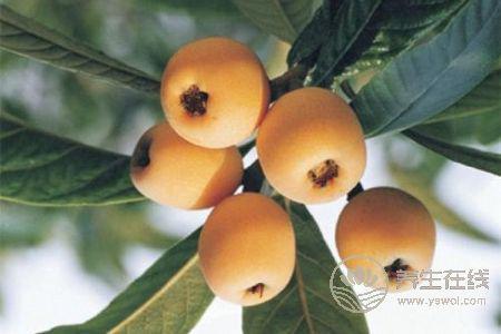 秋季吃什么食物瀉火?秋季泄火茶有哪些?-易網(wǎng)健康養(yǎng)生網(wǎng) 秋季吃什么食物瀉火?秋季泄火茶有哪些?