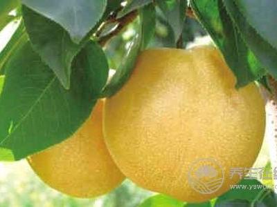 秋季兒童清肺吃什么?秋季兒童清肺食譜有哪些?