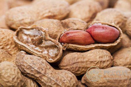 寒露吃什么食物養生?寒露時令食物有哪些?