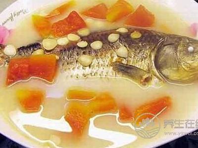 寒露后適合煲什么湯水?寒露時節如何養生?