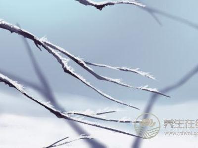 霜降的民俗活動有哪些?霜降是第幾個節氣?