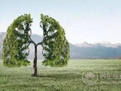 霜降如何養生?霜降時節如何養肺?