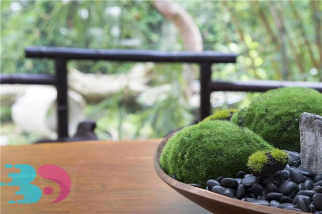 春季養生的禁忌有哪些？春季養生有哪些好方法？