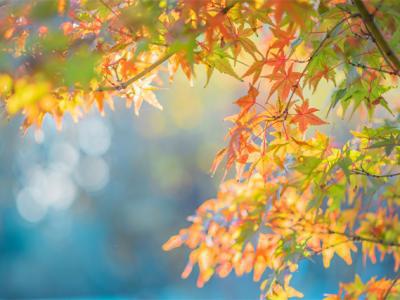 秋天怎么選擇護膚品？護膚品的使用順序