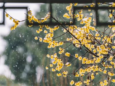 冬天氣候干燥，嘴干嗓子疼怎么辦？教你這些方法緩解