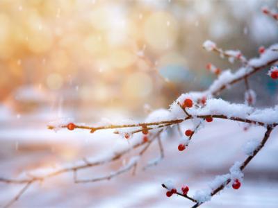 一到冬天皮膚就癢癢的，該如何應對呢？