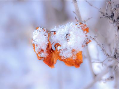 下雪天會被曬黑嗎？下雪也要注意防曬