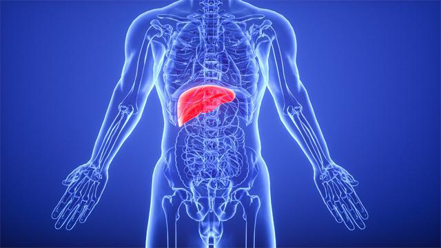 草木復蘇的春季，養肝要認準時間