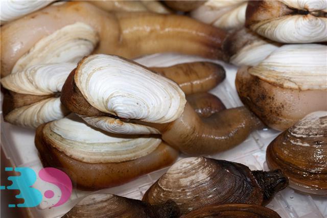 春天適合吃哪些海鮮？春天吃海鮮要注意什么？