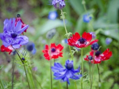 春天安全注意事項(xiàng)，注意事項(xiàng)要牢記！