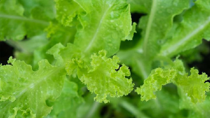 春困精神萎靡不振怎么辦 四種時(shí)令蔬菜幫你趕走春困