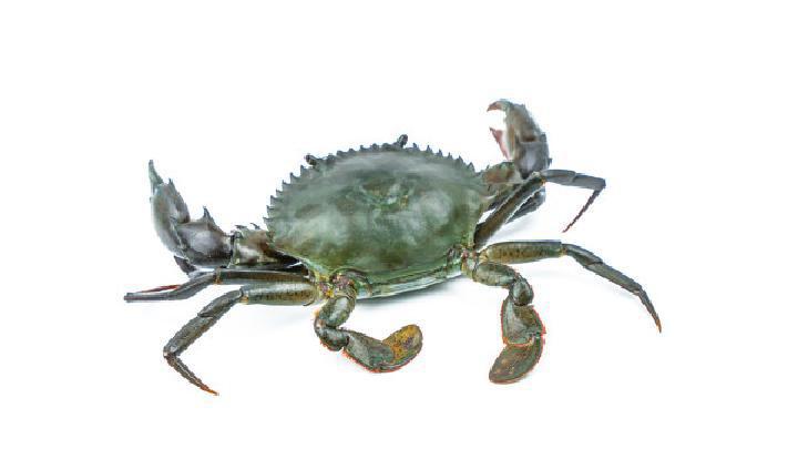 上火的飲食療法有哪些 9種有效降火食物推薦